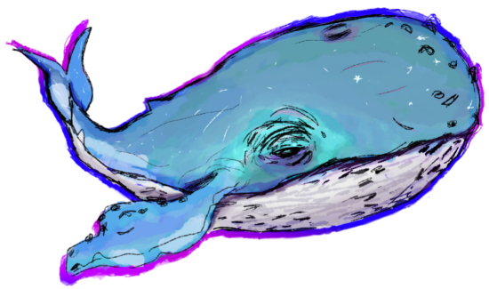 blue baleen whale sticker