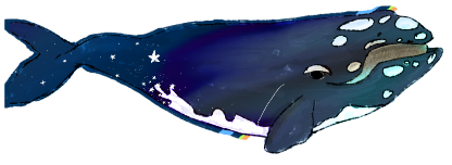 starry right whale sticker